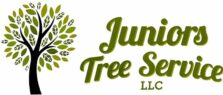 Junior Tree Service LLC