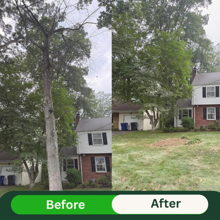 Beige Minimalist Skincare Before and After Instagram Post (5)