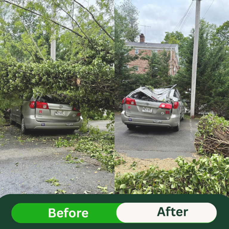 Beige Minimalist Skincare Before and After Instagram Post (6)