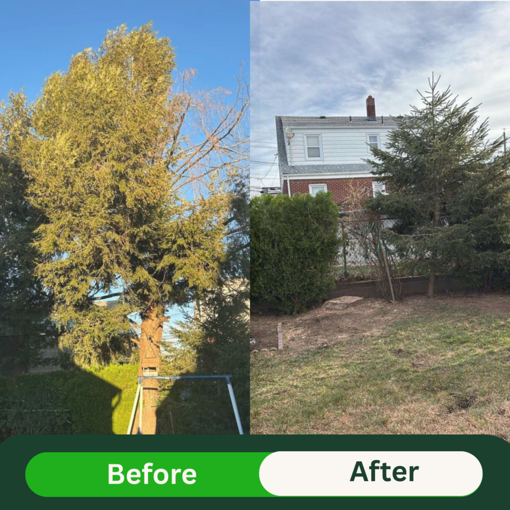 Beige Minimalist Skincare Before and After Instagram Post (7)