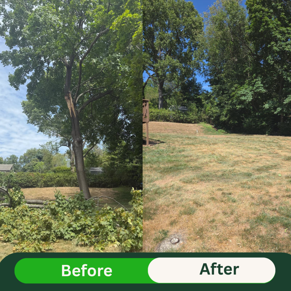 Beige Minimalist Skincare Before and After Instagram Post (8)