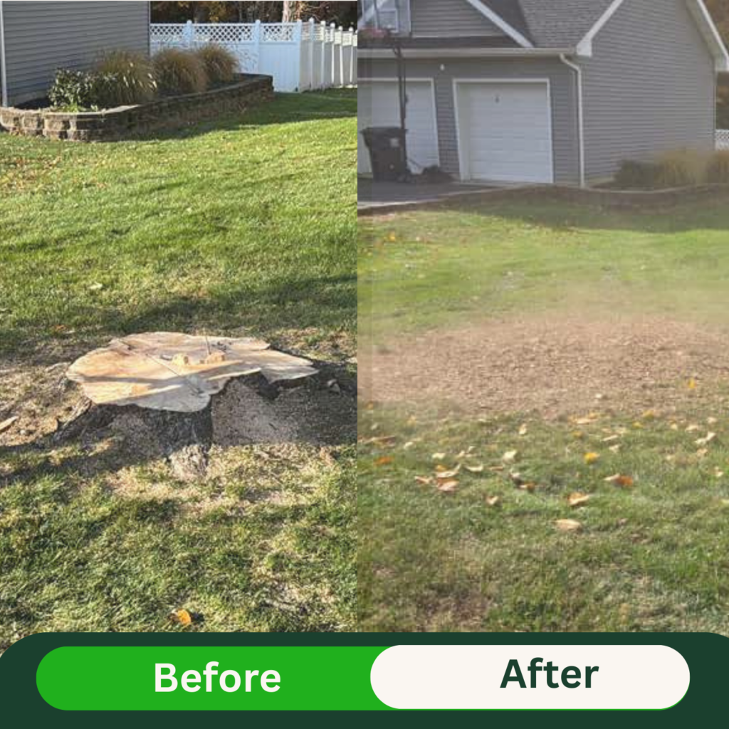 Beige Minimalist Skincare Before and After Instagram Post (9)