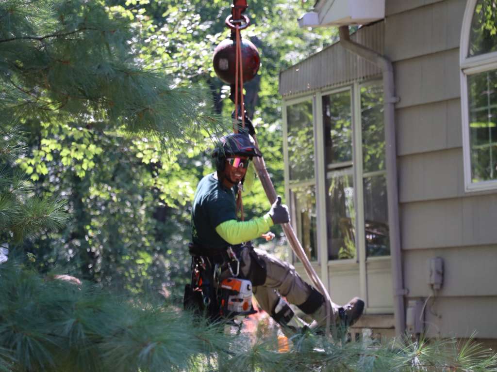 WhatsApp Image 2025-12-06 at 12.02.54 PM (2)